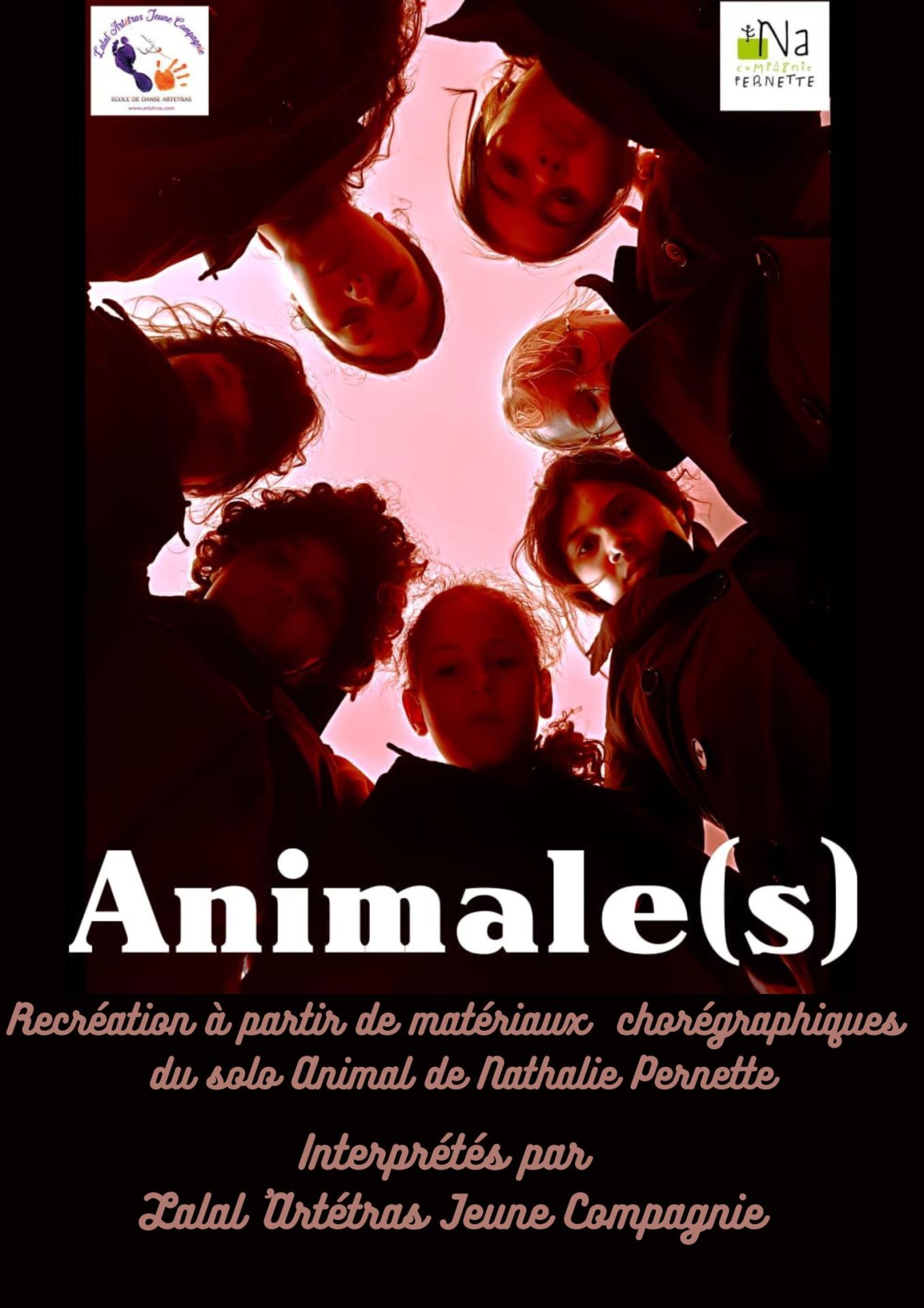 Affiche animale s