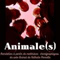 Affiche animale s